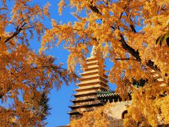 -北京石刻艺术博物馆(五塔寺)