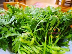 茼蒿-东镇老火锅(长春路首店)