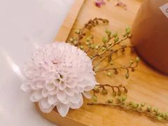 -卓花境Flowerwonderland花店