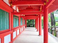 -奈良公园