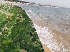 -日照灯塔风景区