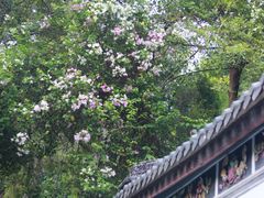 -深圳国际园林花卉博览园