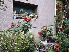 -王万妈卤猪脚(青岩交通路)