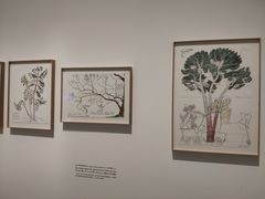 -上海当代艺术博物馆