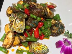 辣炒小鲍鱼（20只）-双海酒店·海鲜家常菜(南戴河店)