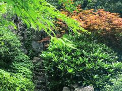 -郑和公园