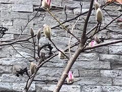 -东华门大街小区