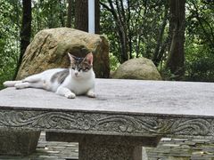 -上海佘山国家森林公园天马山园