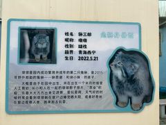 -青藏高原野生动物园