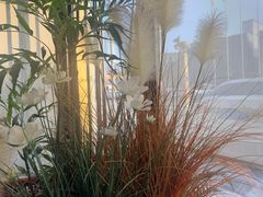 -必胜客(太白路店)