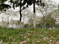 -沙市市中山公园