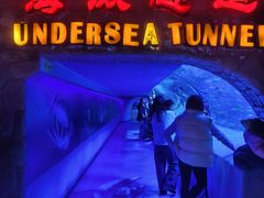 -太平洋海底世界