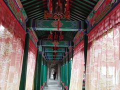 -荣国府