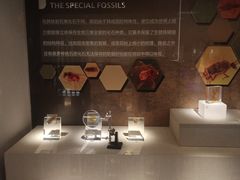 -湖南省地质博物馆