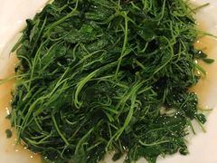 -高老庄绿色传奇(昊元生活广场店)