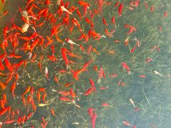 -雅达·阳羡溪山小镇中心