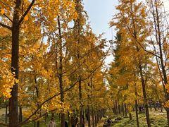 -汉长安城未央宫国家考古遗址公园