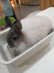 -Moni星球萌宠·小马宝莉·灵蛇·高端高阶全萌宠互动体验俱乐部(红豆国际广场店)