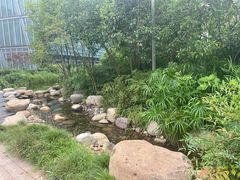 -活水公园