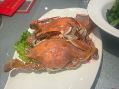 -添福来墨鱼饺子 · 海鲜东北菜(大连星海·黄浦路店)