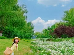 -汉长安城未央宫国家考古遗址公园