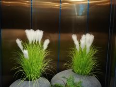 -粤海璇宫·木棉花高空旋转餐厅·聚会派对