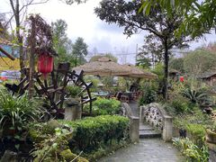 -青城甲(青城山店)