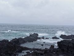 -涉地可支