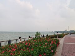 -深圳湾公园(南山区)