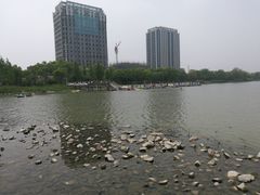 -南翔镇银翔湖公园