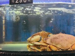 -台鄉缘 ·小海鲜·台州菜(桃林路店)