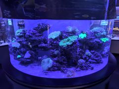 -上和臻品中国菜(花园街店)