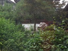-碧丽宫大酒店(召稼楼店)