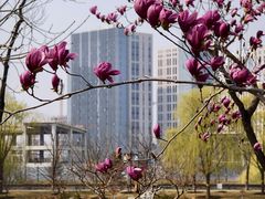 -西海子公园
