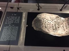 -金沙遗址博物馆