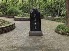 -上海佘山国家森林公园天马山园