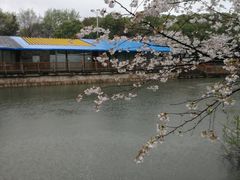 -玉山公园