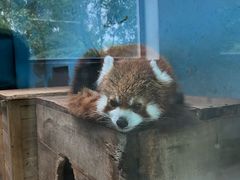 -青藏高原野生动物园