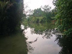 -桤木河湿地公园