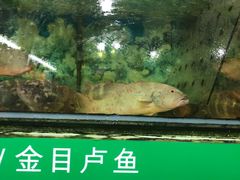 -無招牌海鮮(芽笼店)