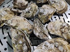 桑拿生蚝-飞尝蚝·顺德菜·鱼生(顺德总店)