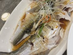 清蒸白丝鱼-状元楼(金溪路店)