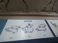 -大庆市博物馆