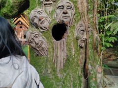 -呀路古热带植物园