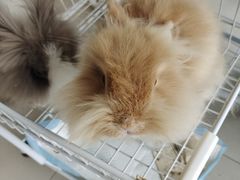 -怪兽屋·羊驼·猫咖·狗咖(俊华广场店)