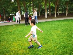 -长白岛森林公园