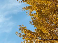 -溪口-滕头旅游景区