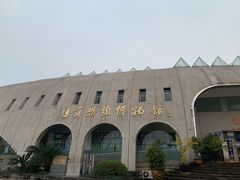 -自贡恐龙博物馆