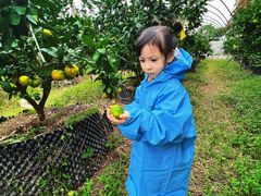 -前小桔亲子创意农场·草莓采摘·露营烧烤