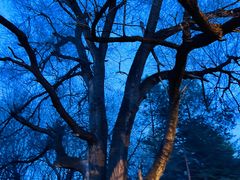 -长春市南湖公园